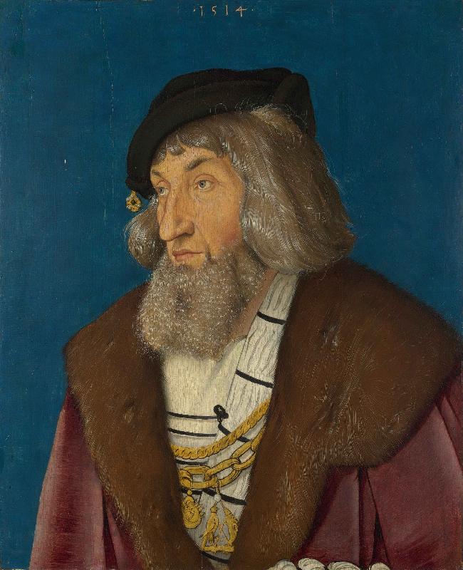 Hans Baldung Grien Portrait of a Man oil painting image